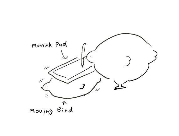 鳥の絵 