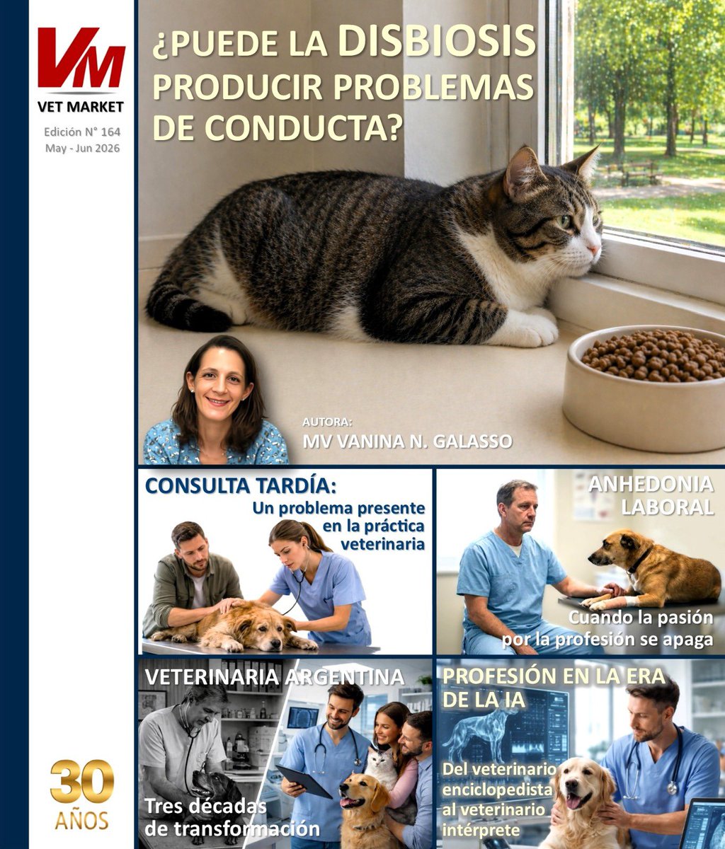 VET MARKET tweet media