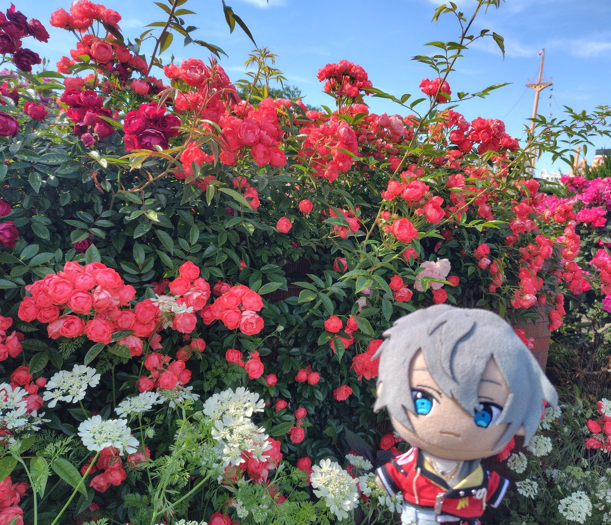 42noa's tweet photo. 横浜とお台場うろうろしてきた
花ざかり人ばかりでした。 https://t.co/ab1KNHKpz8