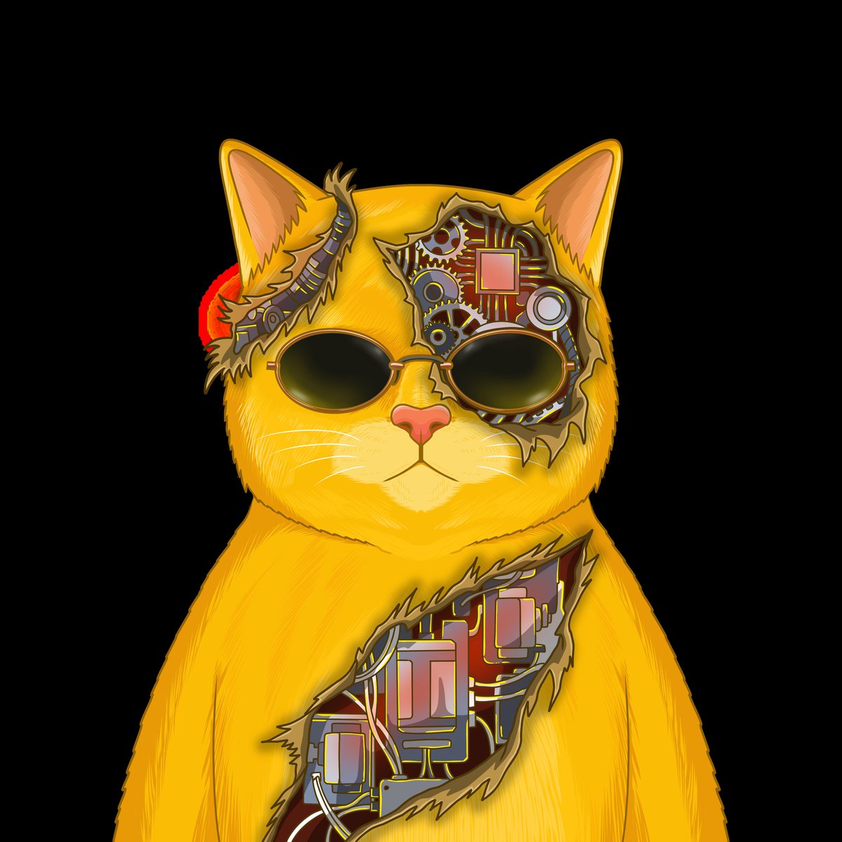 Goatmafia97's tweet photo. Its new ATH every day @ @Yellowcatz_ cuz it's always green ticker of $YC #catz #Yc https://t.co/a4J9UrEqdp