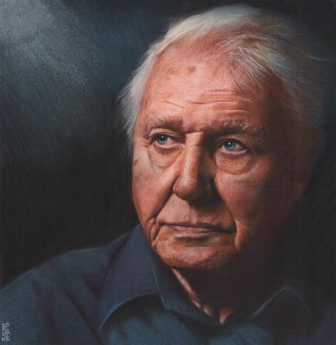 IanBourneArt's tweet photo. In the mad world we currently reside upon we need him more than ever. Happy 100th birthday, Sir Dave.
Pastel on paper. 
Source pic by the amazing Conor McDonnell.
All proceeds to the World Land Trust. https://t.co/ycMcUlRnbv