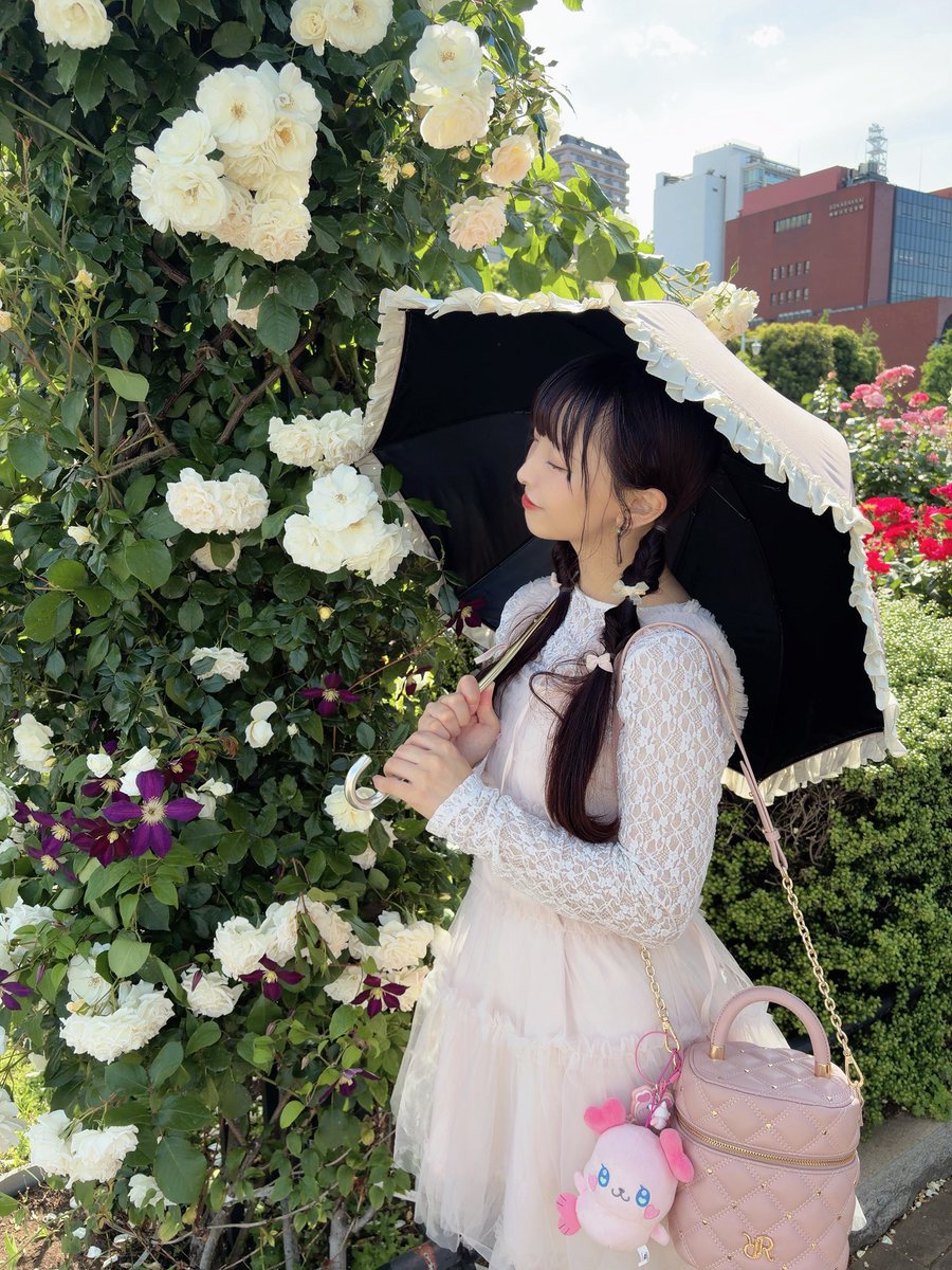 5/9メイクの日🪸🎀💜ೀ くるるんを連れてバラ園に行ったよ( * ॑꒳ ॑