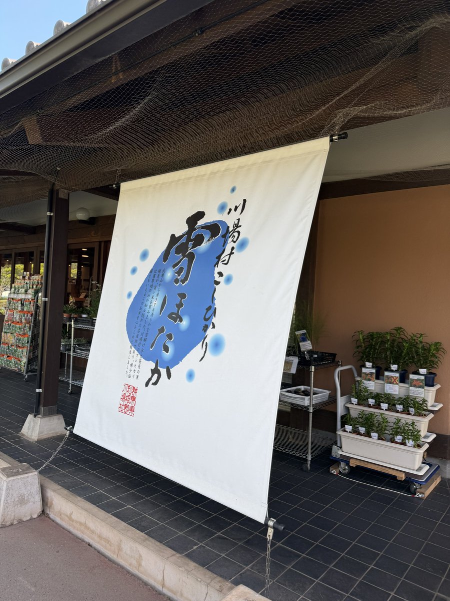 Negitanuki0602's tweet photo. 田園プラザ、やっぱ土曜日で良い天気なのもあってめちゃくちゃ混んでたね！！
アイス美味しかった🍨
今度おにぎり食べに行きたいな、、 https://t.co/eKOfwa14EP