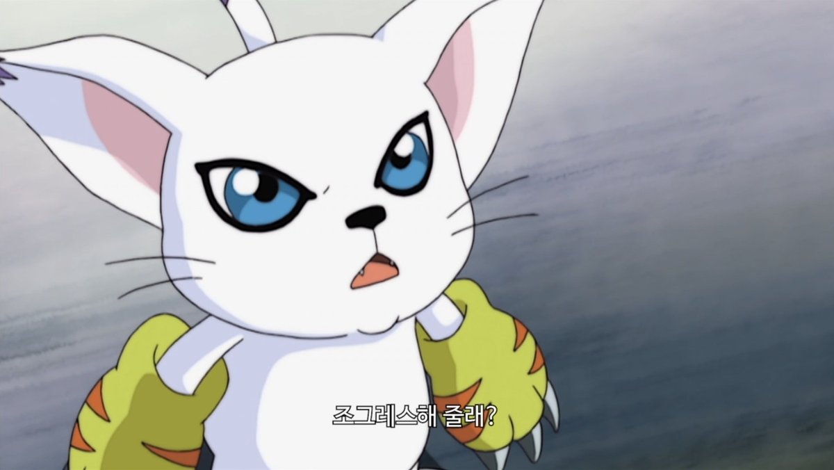 범댕 tweet media