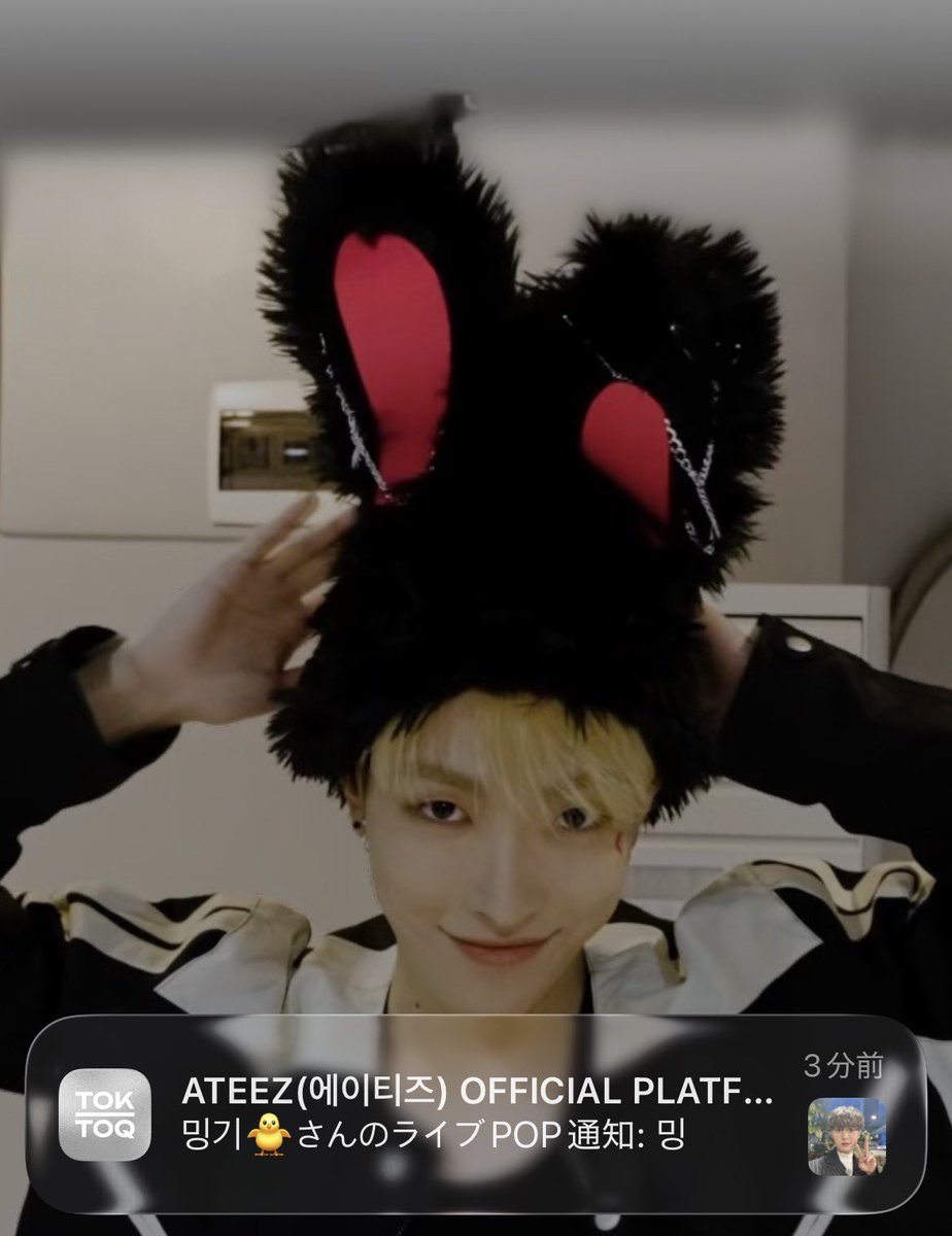 はと우유🐿️🏴☠️ tweet media