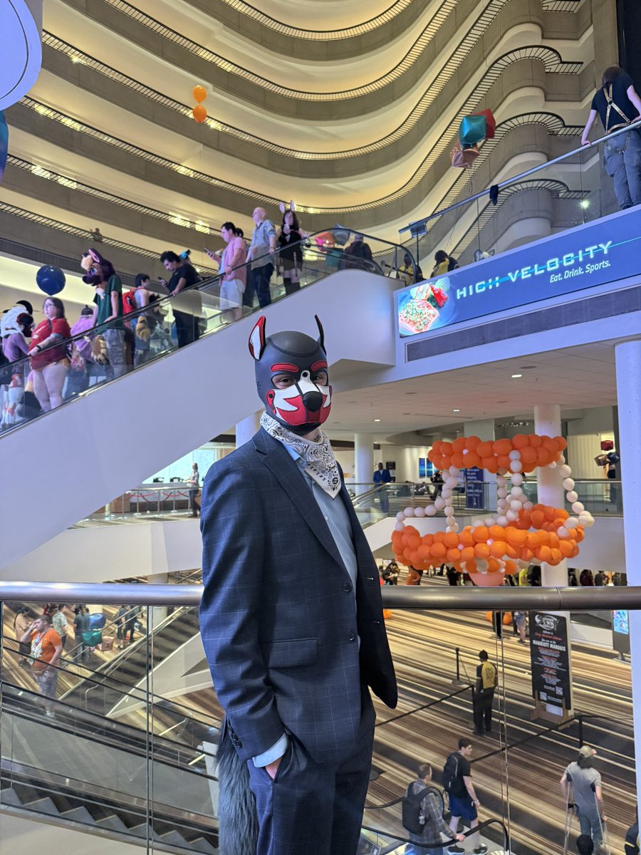 decadentfox's tweet photo. Feeling kinda fancy at FWA 👀 https://t.co/u8vEPVOFzI