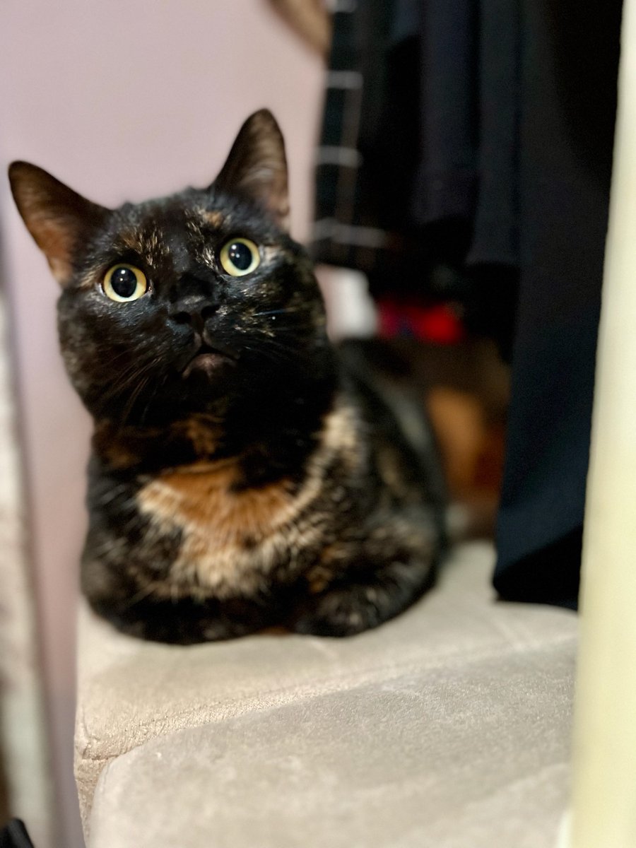 Lucy🇨🇦 tweet media