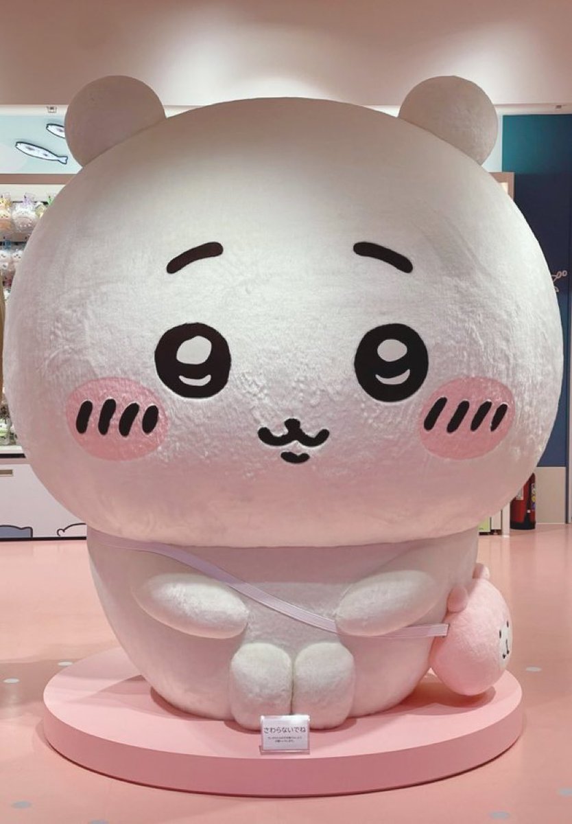 amber ♡ tweet media
