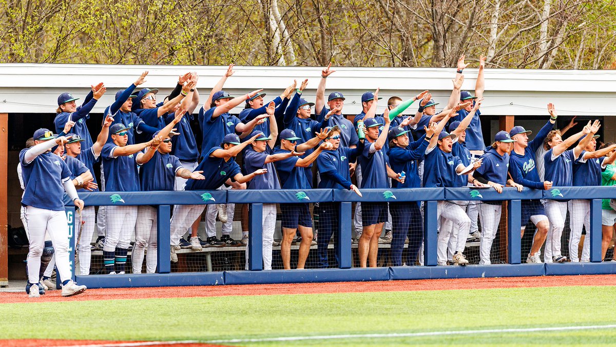 Endicott Athletics tweet media