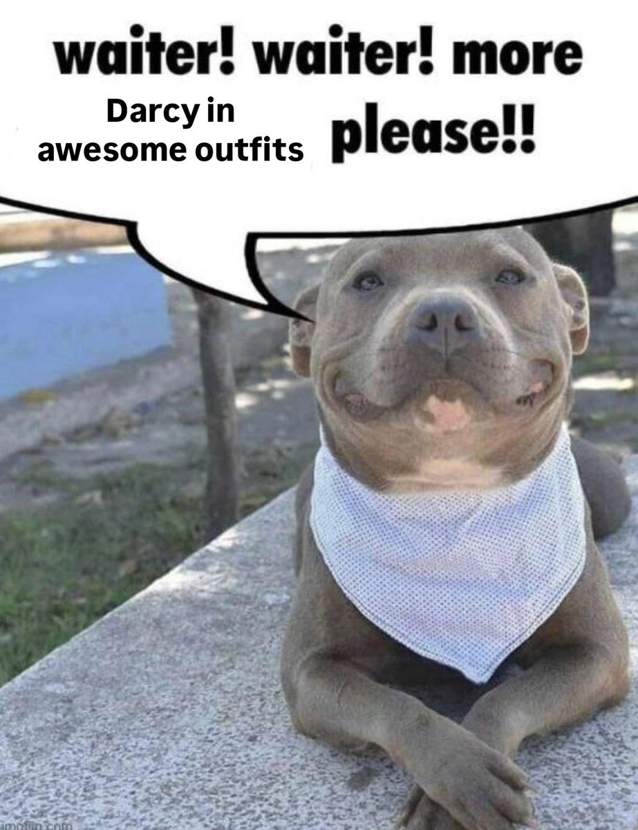 ❤️‍🔥Darcy Wu's #1 Supporter❤️‍🔥 tweet media