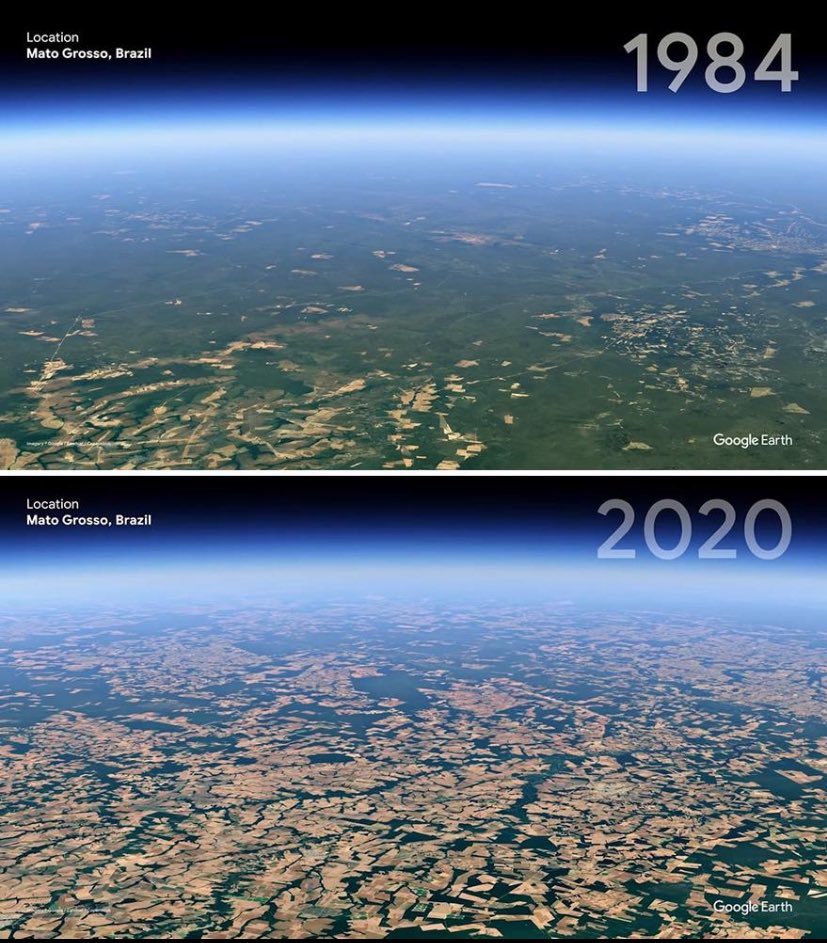 Oxygen_Token's tweet photo. We are the first generation in human history able to watch ecosystems collapse in real time from space.

And possibly the last generation with enough time left to stop it.

Never before have humans had this much knowledge about the damage being done to forests, oceans, wildlife and climate systems.

And never before have we had this many tools to respond.

The future of life on Earth is no longer limited by awareness. It is limited by whether we choose to act on it.