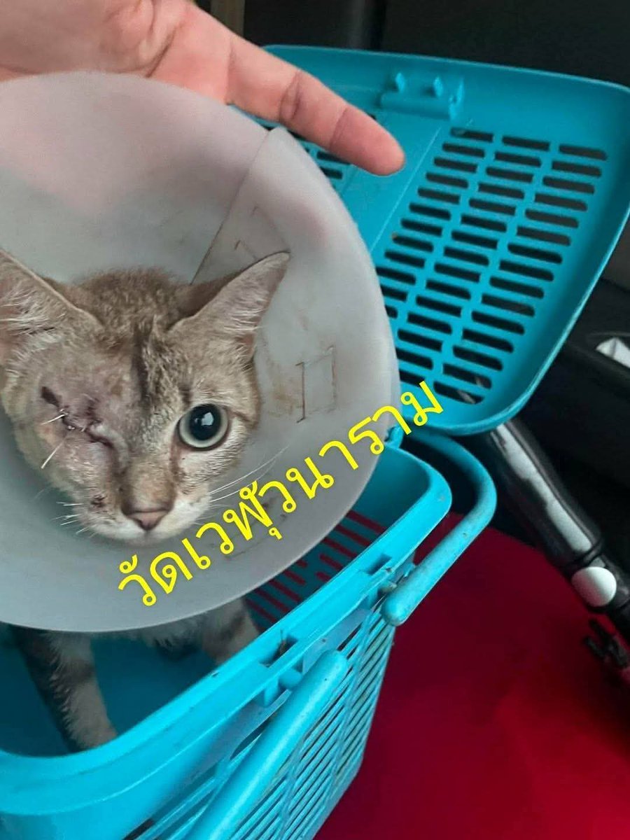 กระดานบอกบุญ tweet media
