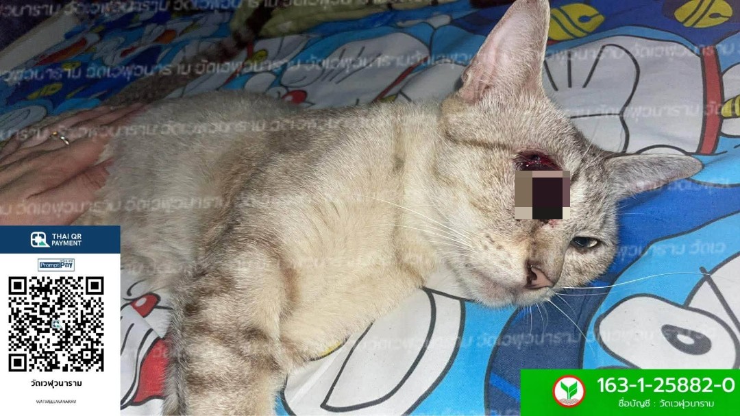 กระดานบอกบุญ tweet media