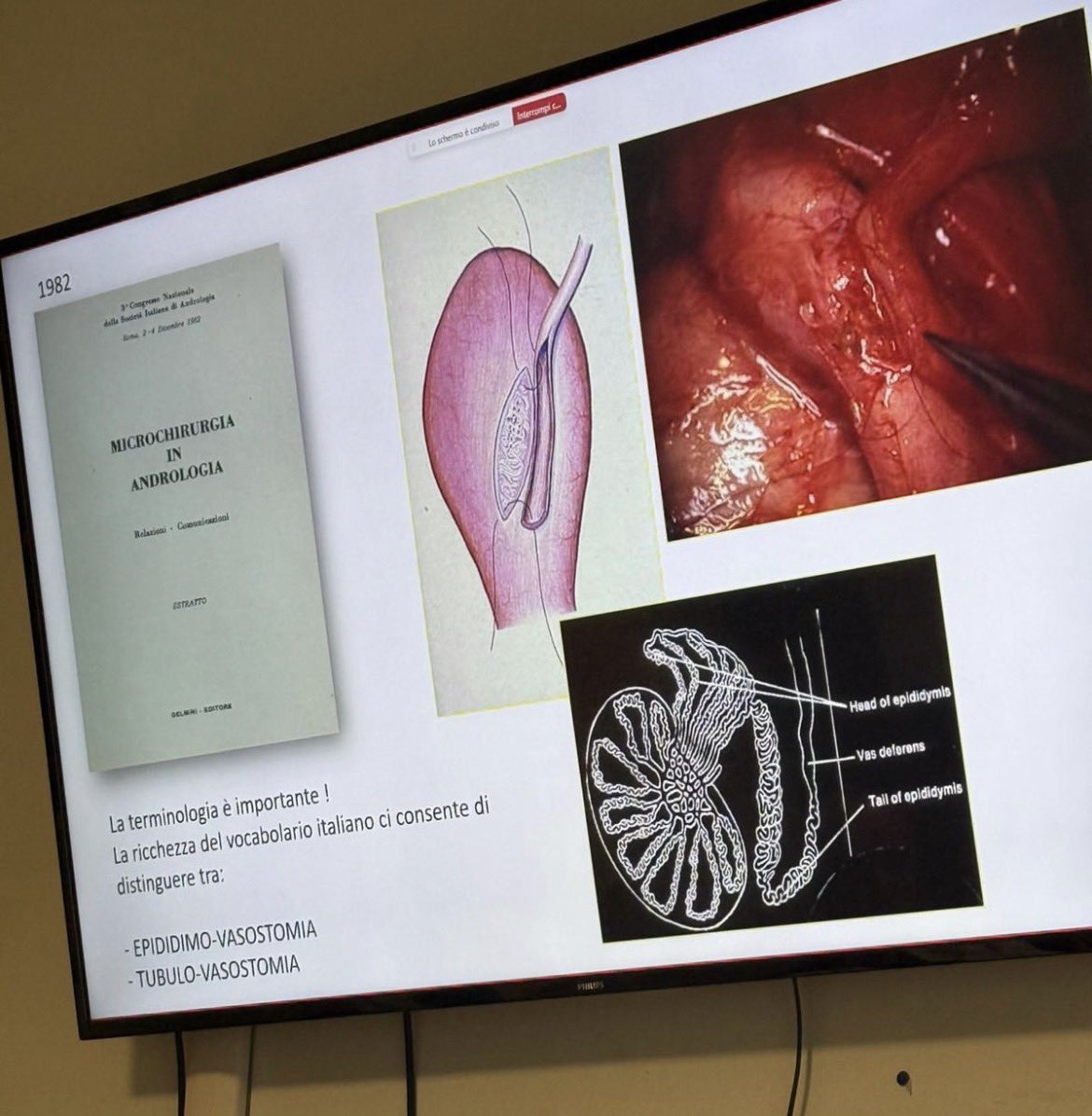 Dept. of Urology | University of Trieste tweet media