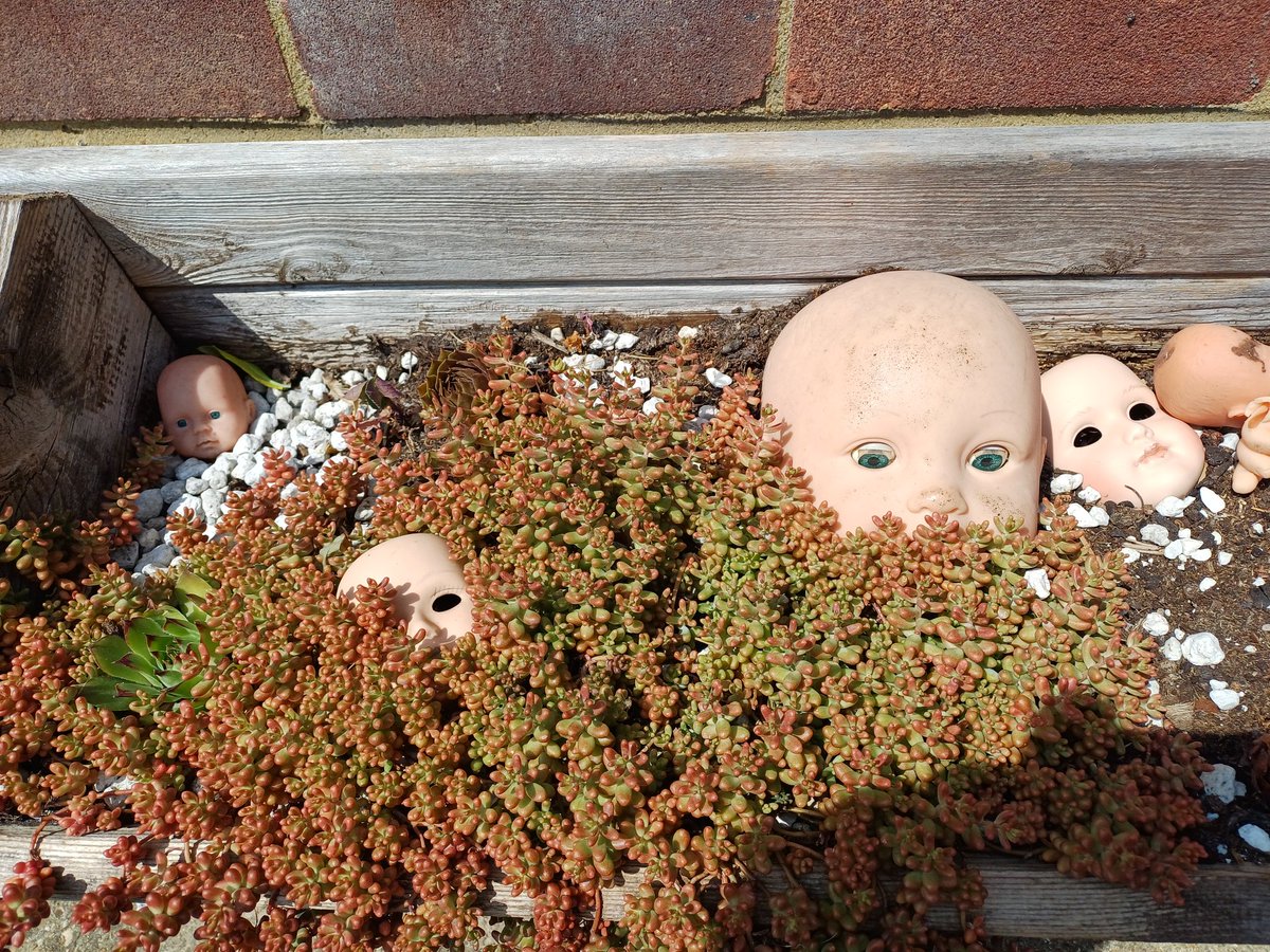 dutchPaul's tweet photo. @CyberSaffron In my doll's line of vision. https://t.co/nbpFLZkhro