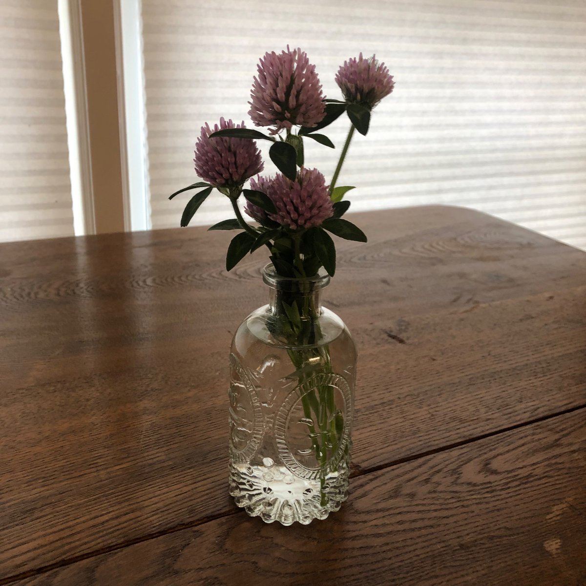 My Mother’s Day gift to me
These large overgrown clover in the back yard 💕

I didn’t know they smelled nice?!