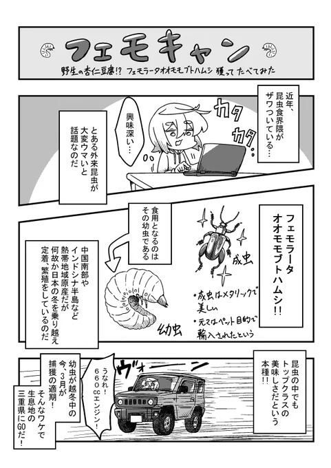 遅くなりましたが完成しました!
多分日本初のフェモラータオオモモブトハムシの食レポ漫画です!
昆虫食界でも特に美味しいとされ、ある条件下では杏仁豆腐の風味がするという…
良かったら見てね!(1/6) 