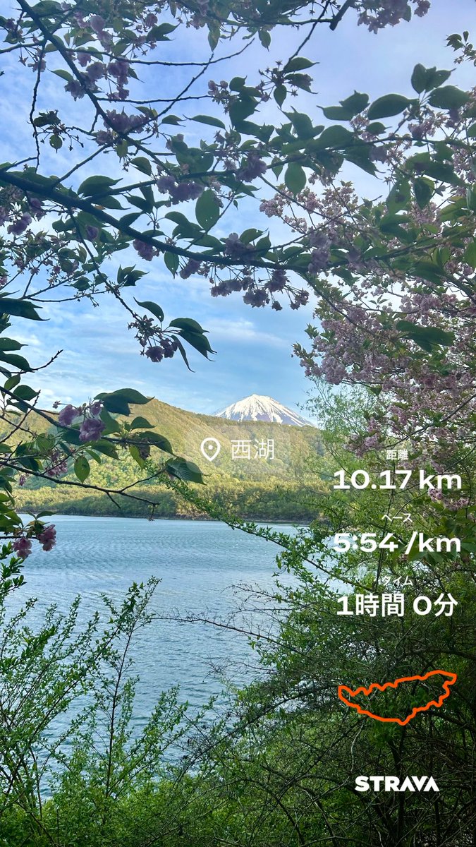 pocha_runner's tweet photo. 【西湖合宿DAY2】
🏃‍♀️‍➡️午前練2+5km
🏃‍♀️‍➡️午後練10km

山から吹き下ろし強風トレ🌬️
絶景のおかげで心折れずに走れた🏔️
練習の合間は湖畔でデイキャン🏕️
メシ担妻はラムチョップを焼いて🍖
コーヒー担夫はミルで豆挽き☕️
読書📖してるフリで十分レストしてから湖1周走った✊ https://t.co/zNqS8Sj87Z