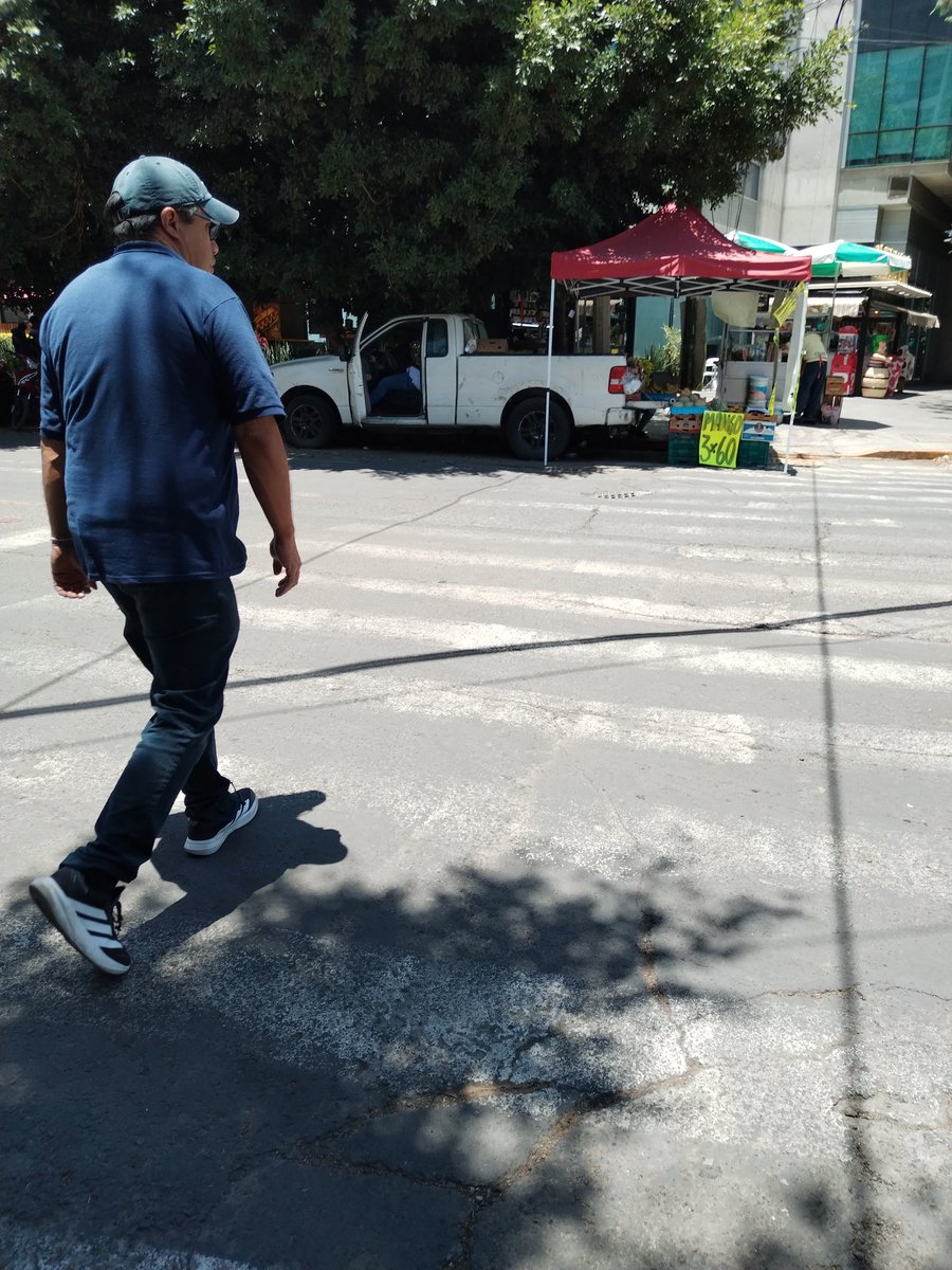 <a href="/MHcesac/">MH CESAC</a> <a href="/ParquesPolanco8/">#ParquesPolanco 🌳</a> <a href="/Winedson1/">Winedson</a> <a href="/mauriciotabe/">Mauricio Tabe Echartea</a> <a href="/AlcaldiaMHmx/">Alcaldía Miguel Hidalgo</a> <a href="/OVIALCDMX/">OVIAL_SSCCDMX</a> <a href="/ClaraBrugadaM/">Clara Brugada Molina</a> <a href="/PabloVazC/">Pablo Vázquez Camacho</a> <a href="/MHGOByJ/">Gobierno y Asuntos Jurídicos MH 2024-2027</a> <a href="/CuadranteME/">CuadranteMarianoEscobedo🌳🚴‍♀️🚶🏻‍♂️</a> <a href="/TipsmejorarDF/">TipsmejorarDF</a> <a href="/rafaelmart30/">Rafa</a> <a href="/PericoDS/">PericoDS</a> <a href="/evilkpcc/">p</a> <a href="/RuthCoos/">Ruth Coos</a> <a href="/LetiMinero/">Letitbe60</a> <a href="/p1chagoya/">Umbral Polanco 🌳</a> Lago Alberto y Bahía de Sn Hipólito, todos los malditos días y además invade cruce peatonal