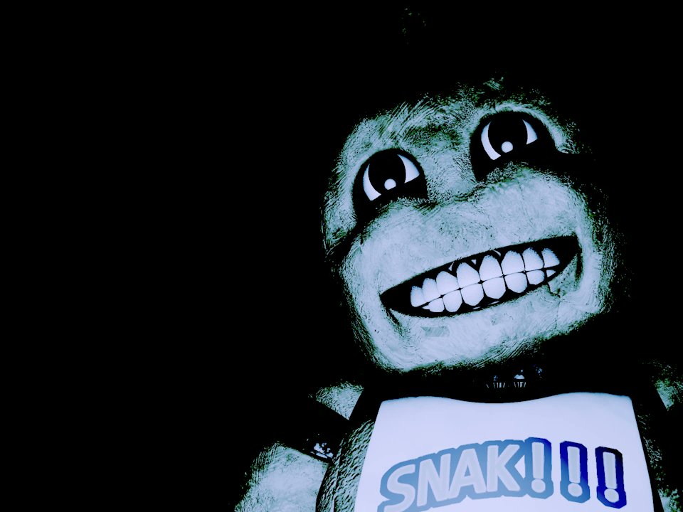 𝟚 𝔽𝕦𝕟 𝟚 𝔹𝕖𝕒𝕣 tweet media