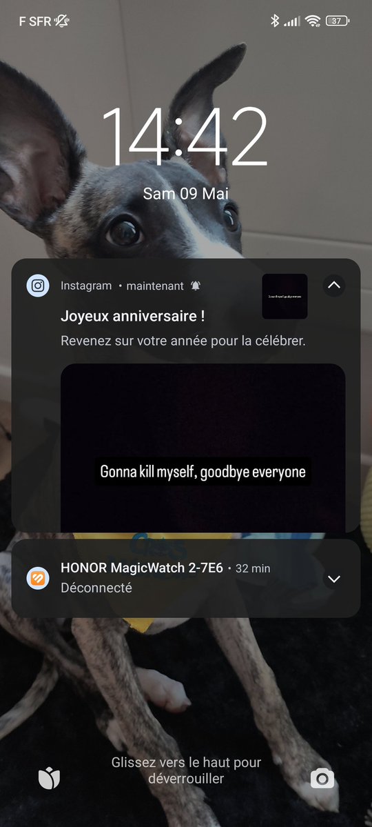 Jsuis morte de rire, merci de me redonner cette story monsieur Instagram