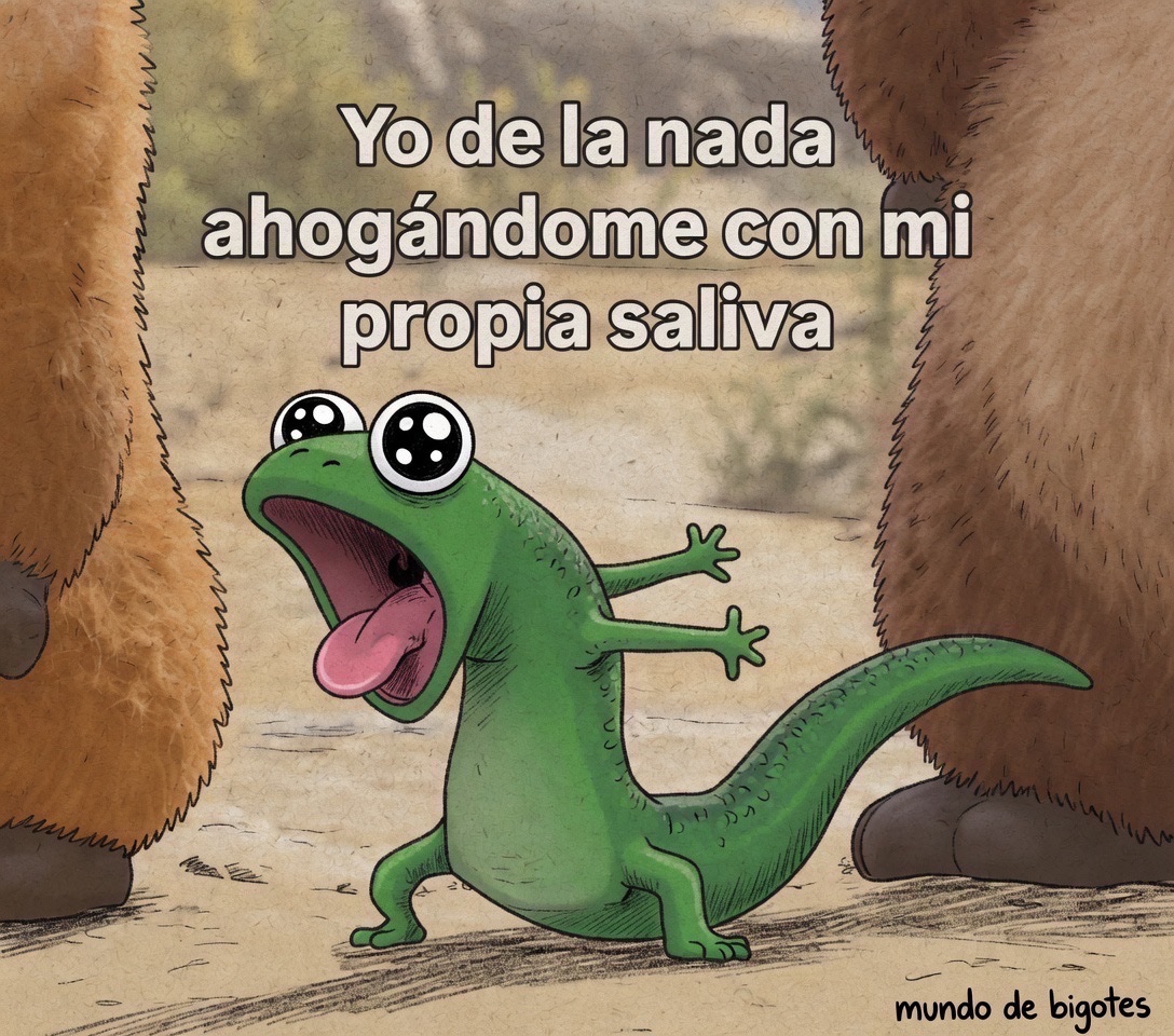 MundoDeBigotes's tweet photo. https://t.co/J6scoSryzr