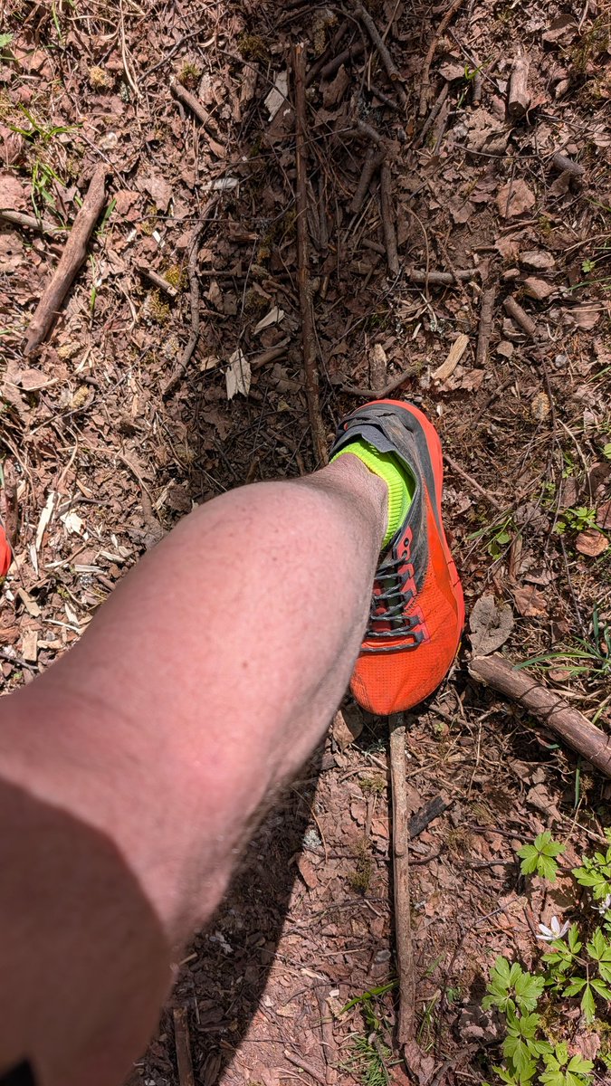 Grillen monterad(efter vissa svordomar😂) och köttet ligger i sousviden sedan några timmar. Med lite bonustid tillgodo så fick det bli en 6k runda upp på skogen innan det är dags för sista förberedelserna.
⛰️🏃🏼‍♂️#garmin #altrarunning #stayoutthere #löparvad