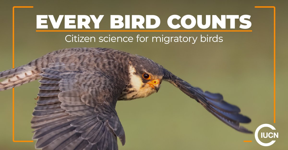 IUCN tweet media