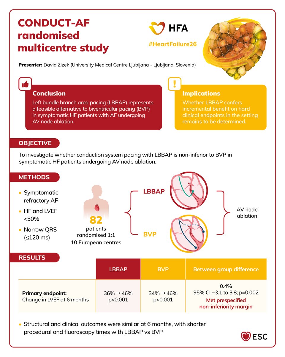 escardio's tweet photo. Conduction system pacing versus biventricular pacing after atrioventricular node ablation in heart failure with atrial fibrillation: the international randomized CONDUCT-AF trial 👇

#HeartFailure26 #HFA_ESC @HFA_President https://t.co/rgTTl9LFbT