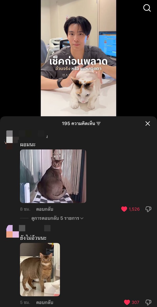 หมอมาสอนวิธีดูว่าแมวอ้วนหรือยัง แล้วดูป้าม่วงมันไปเม้น ชอบแกล้งหลาน5555555555