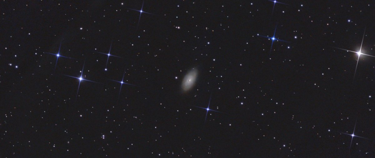danbutler_55's tweet photo. Black Eye Galaxy (M64) 334 images stacked @dwarf_lab33747 #dwarflabmini #astrophotography https://t.co/e3TUPLGzFq