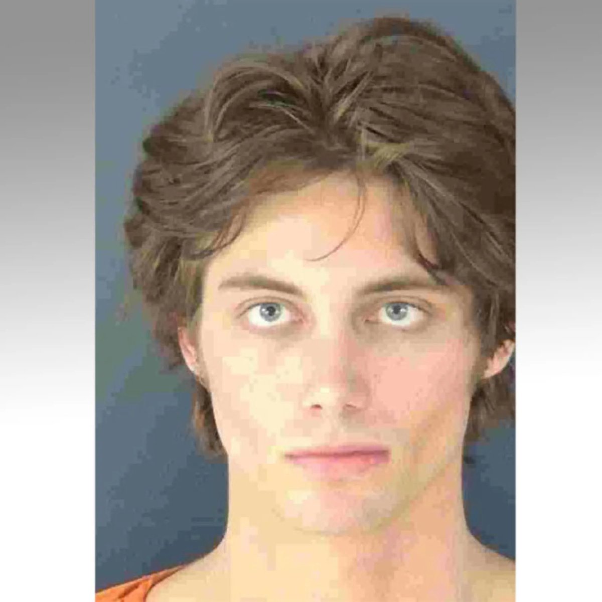 White Boys are having a nightmare PR run this year.

We've got:

- Guys overdosing on stream. 
- Guys wearing wigs and getting them snatched.
- Ultra-racist dude trying to antagonize everyone in public.
- Dude arrested for buying and pleasuring himself to animal torture and CP of