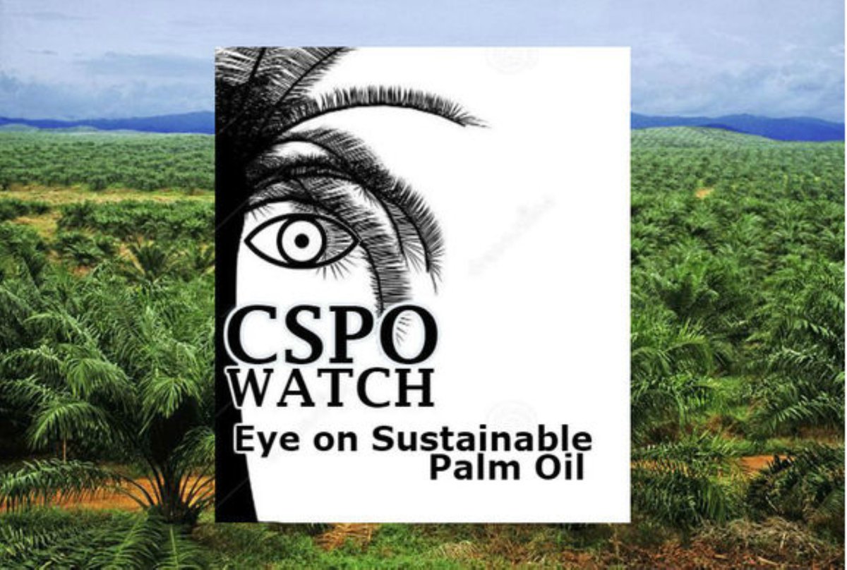 CSPO Watch tweet media