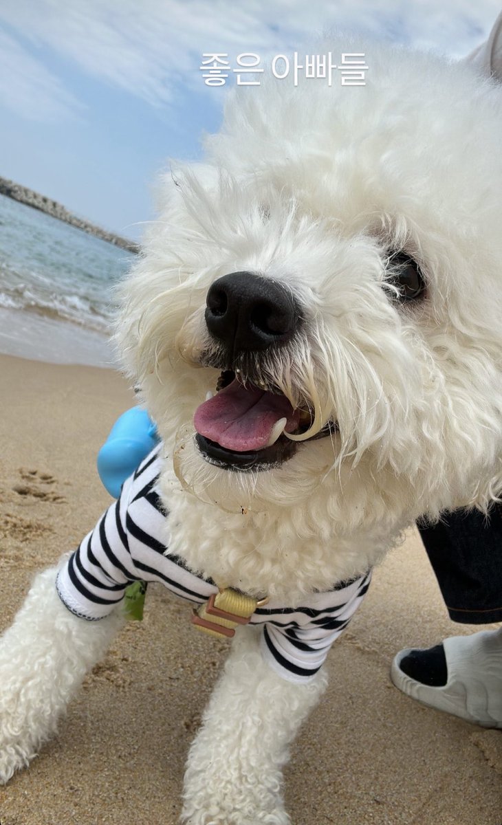 희봄 tweet media