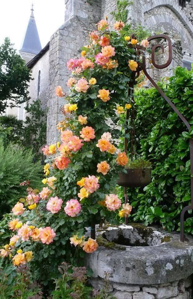 KUKITA07's tweet photo. Buenos días!!!!😃"Madurar es perder algunas ilusiones para empezar a tener otras”.
Virginia Woolf💞💕💕💚💚🍂🍁🍁🍃🍁🥶!!Feliz fin de semana!!#BuenosdiasAtodos #Goodmoning #Bonjour #bonjourchezvous #Buongiornoatutti #NOWAR  🕊🕊🕊🕊🦋🦋🦋 https://t.co/CmWcMonSk7
