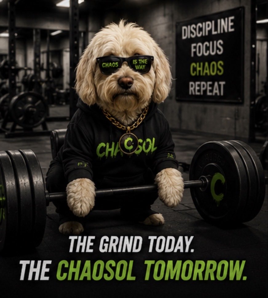 CHAOSOL tweet media