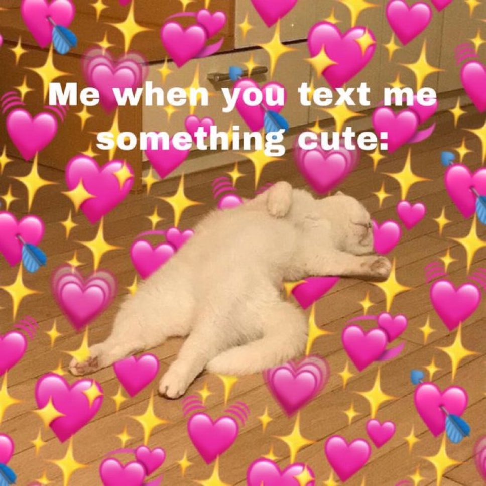 messages. tweet media