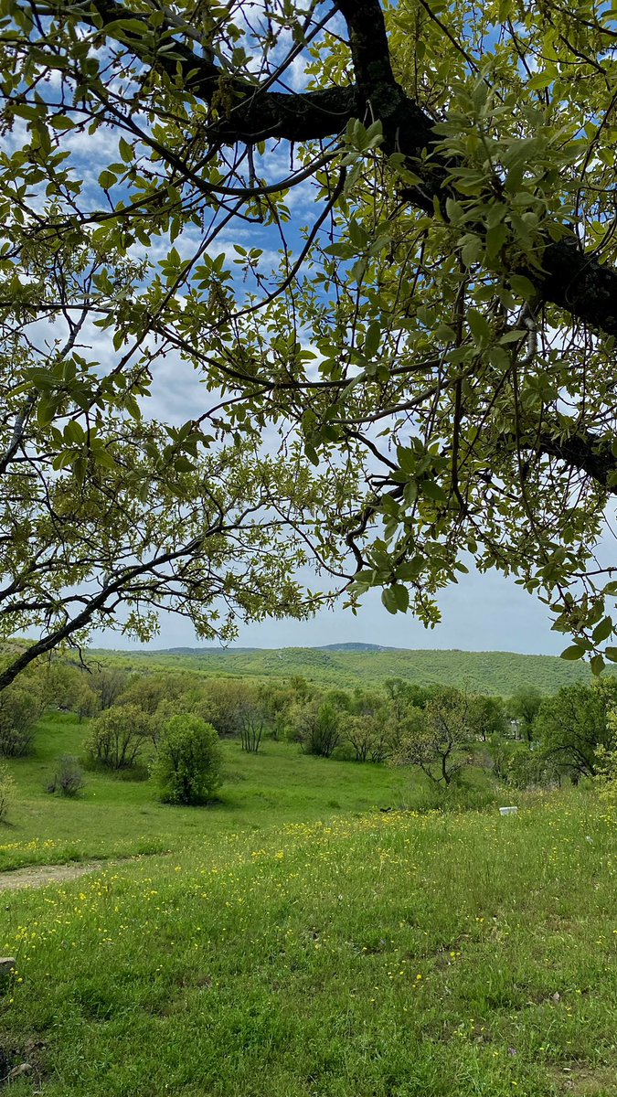 Buseyil_'s tweet photo. @turanSWE Ayy bence de, bunlar da benden ve tüm yeşil fotoğrafları beğenmek istiyorumm 💚 https://t.co/DmpK7gn0Uo