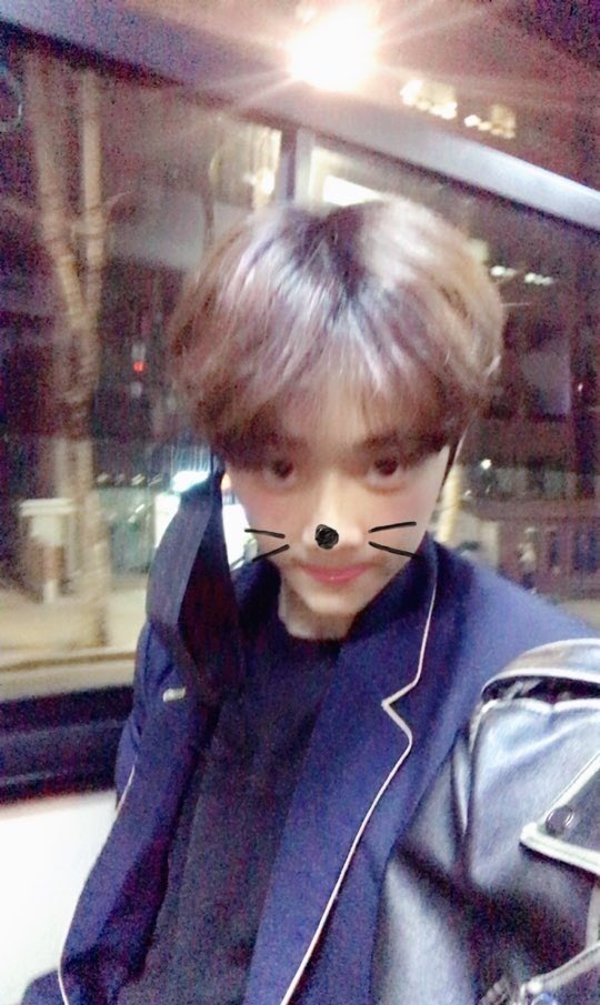 우카 tweet media