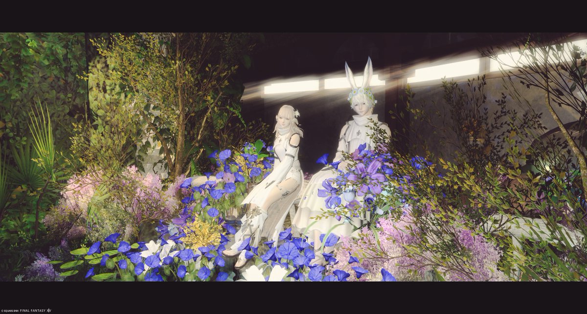 NOGU_RU's tweet photo. こちらも落ち着いた雰囲気で綺麗だった…！
お花に囲まれるのってなんだか癒されて良い🥰
#FF14_pom さん https://t.co/cYqYrxBgjJ