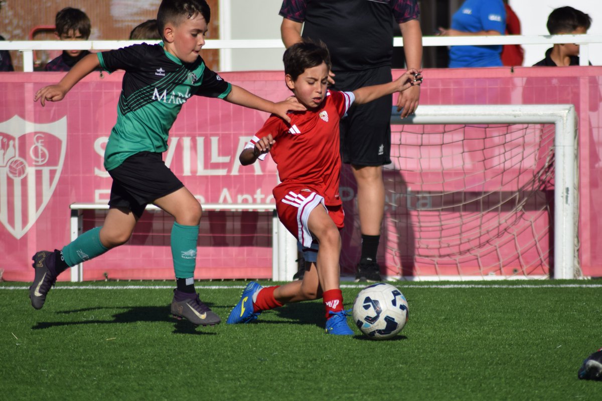 Sevilla FC Academy tweet media