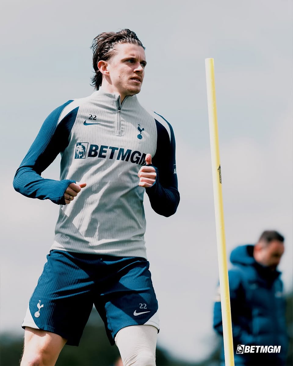 Tottenham Hotspur tweet media
