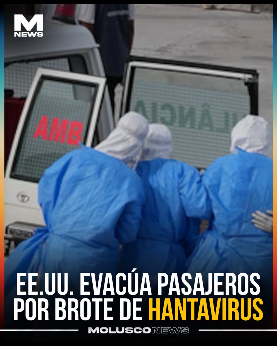 Molusco tweet media