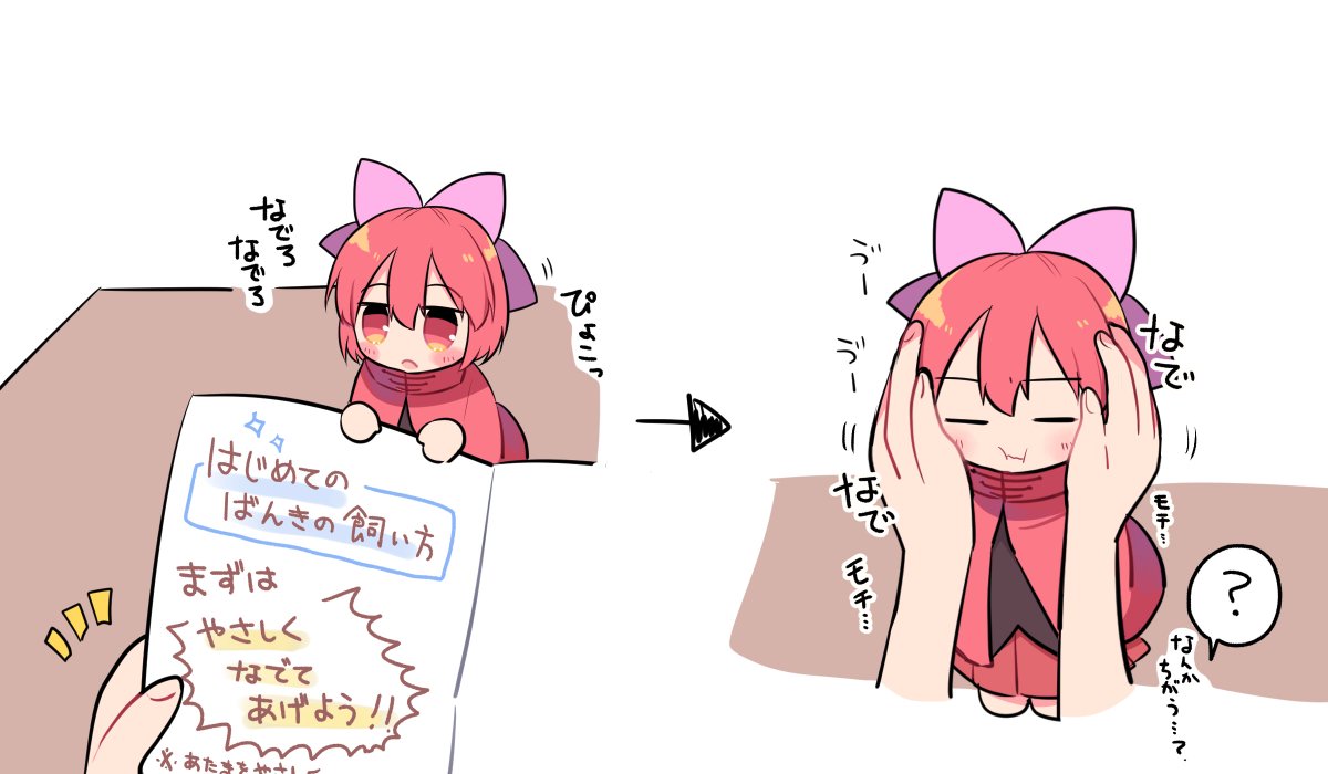arufas00's tweet photo. 信頼してる故にちょっとこっちをナメてるばんきちゃん詰め https://t.co/c4dlNy8Uqg