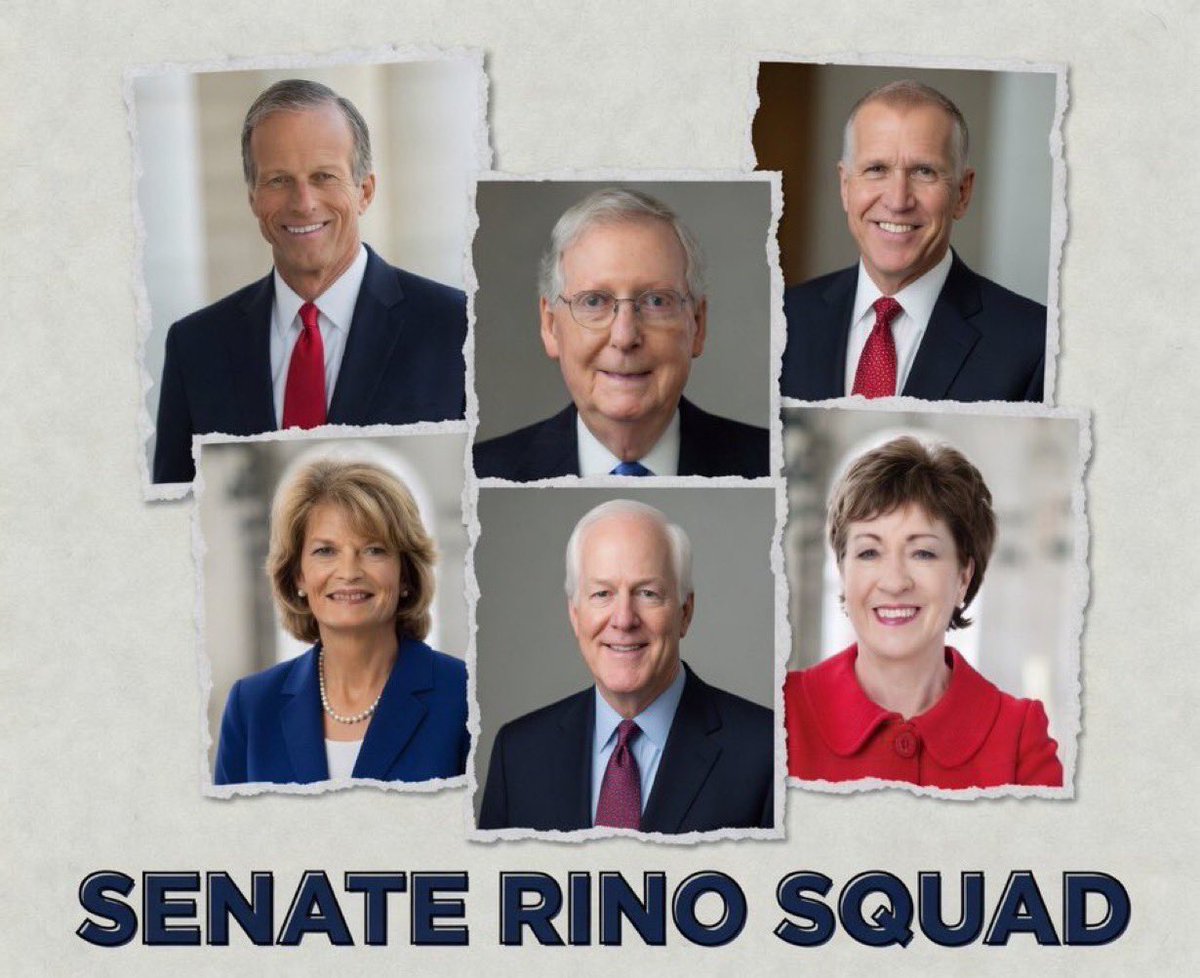 <a href="/Chicago1Ray/">@Chicago1Ray 🇺🇸</a> <a href="/MarshaBlackburn/">Sen. Marsha Blackburn</a> <a href="/berniemoreno/">Bernie Moreno</a> <a href="/RonJohnsonWI/">Ron Johnson</a> <a href="/votetimscott/">Tim Scott</a> <a href="/SenatorHagerty/">Senator Bill Hagerty</a> The GOP better step up to the plate and remove Thune along with every rhino undermining the Trump agenda! They are set on destroying everything Americans voted for!
<a href="/LeaderJohnThune/">Leader John Thune</a> 
<a href="/SenMcConnell/">U.S. Senator Mitch McConnell</a> 
<a href="/POTUS/">President Donald J. Trump</a> 
<a href="/MikeJohnson/">Mike Johnson</a>