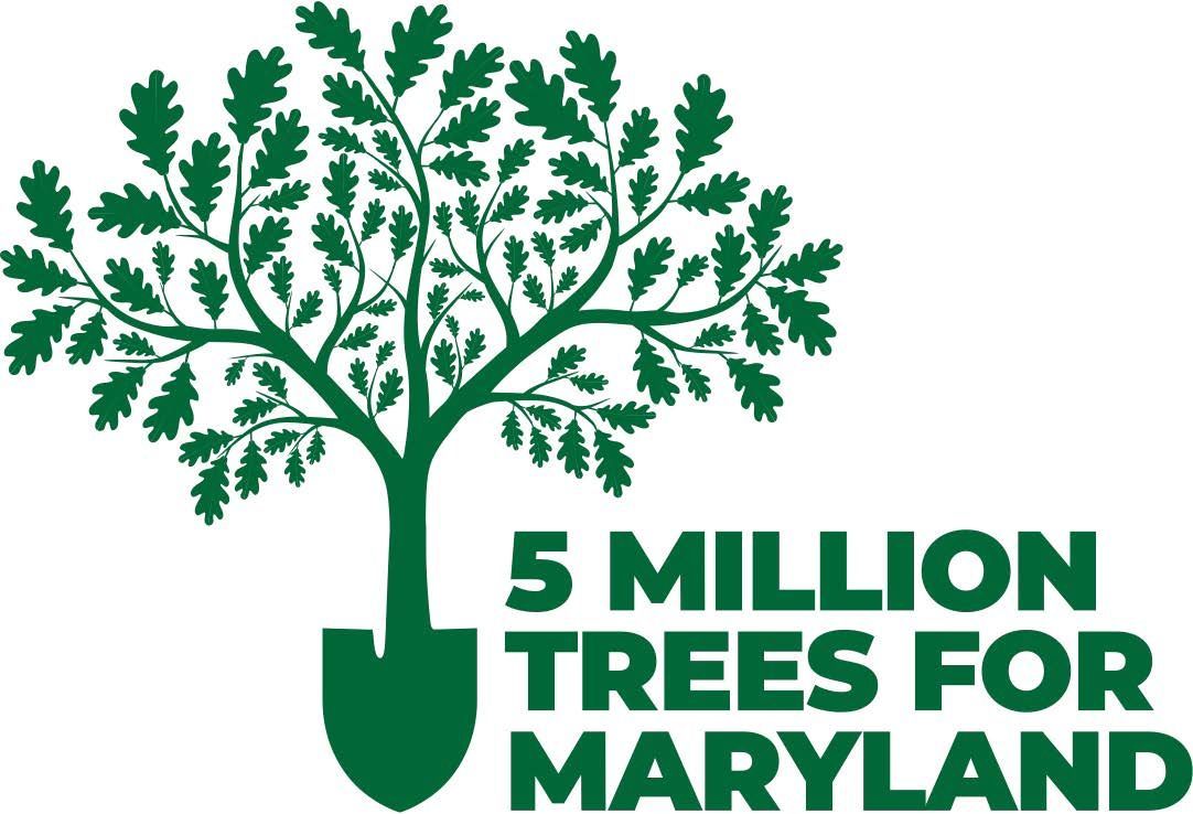 MD Environment tweet media
