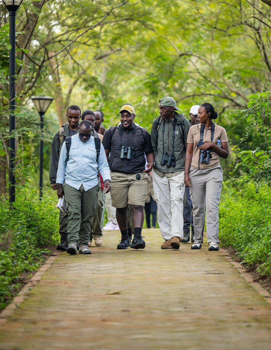 Nyandungu Eco-Park tweet media