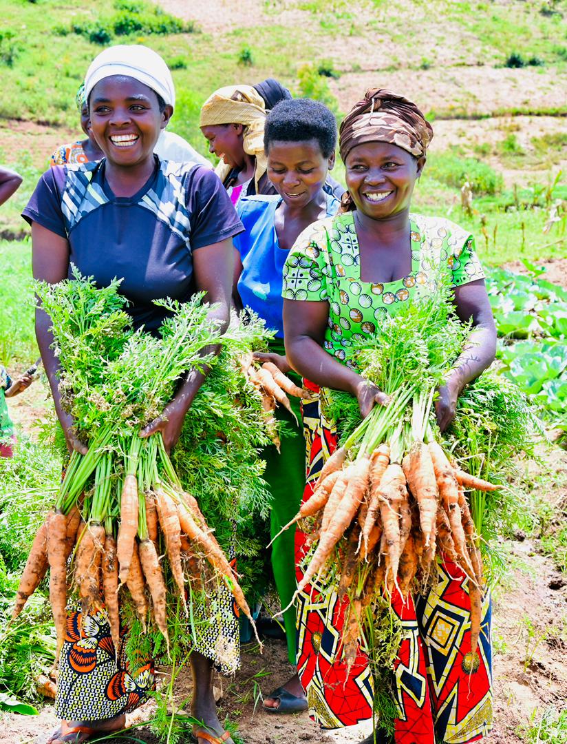 FH_Rwanda's tweet photo. One season ago, many farmers in Nyamasheke, Ngororero &amp; Gisagara doubted Conservation Agriculture. Today, through practices like minimum tillage &amp; mulching, they are seeing healthier soils, reduced erosion, lower costs, and better yields with less labor. Thanks @WFP with FH. https://t.co/BcVgCQm1td