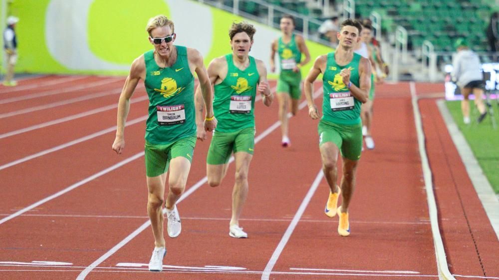 DyeStat tweet media