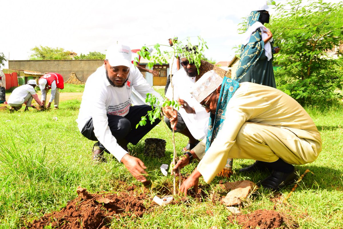 Ethiopian Red Cross Society tweet media